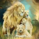 Queen Lion Family Blanket ? Ultra Soft Queen Plush Throw, Machine Washable