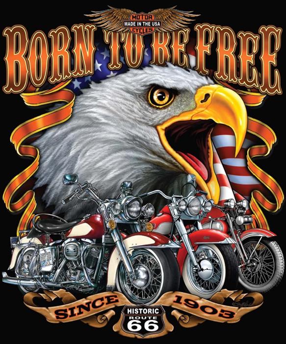 USA Motorcycle Plush Blanket ? Queen Size Comfort, Born Free Collection