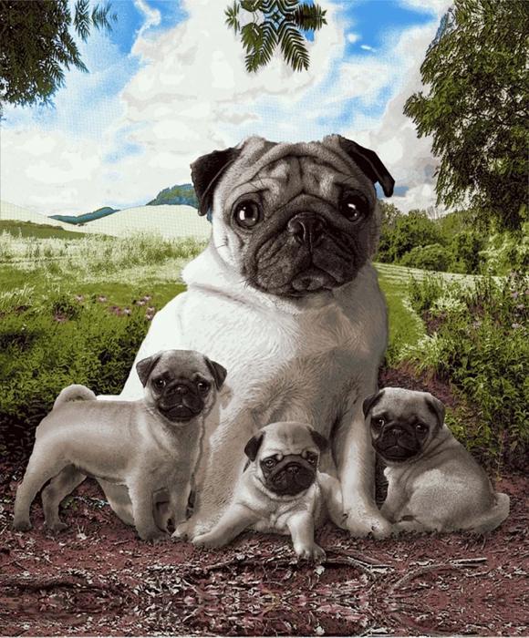 Pug Family Plush Blanket ? Queen Size, Super Soft & Cozy