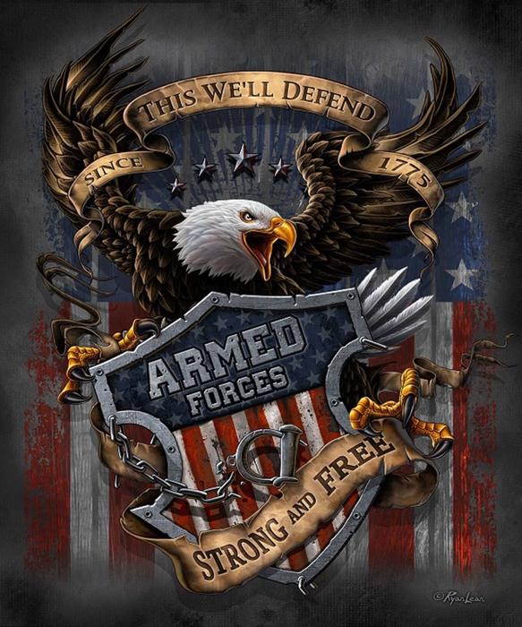 USA Armed Forces Plush Blanket ? Queen Size, Super Soft & Cozy