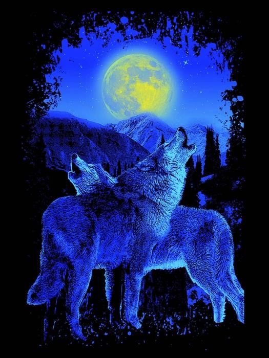 Wolf-Themed Queen Blanket ? Soul Mate Wolves - Plush & Ultra Comfortable