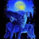Queen Wolf-Themed Queen Blanket ? Soul Mate Wolves - Plush & Ultra Comfortable