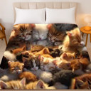  Extremely Soft Cat Blanket ? Queen Size Plush, Kitty Dreams Edition