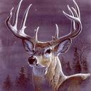Queen Deer Blanket ? Midnight Buck Edition, Plush Queen Throw, Super Soft