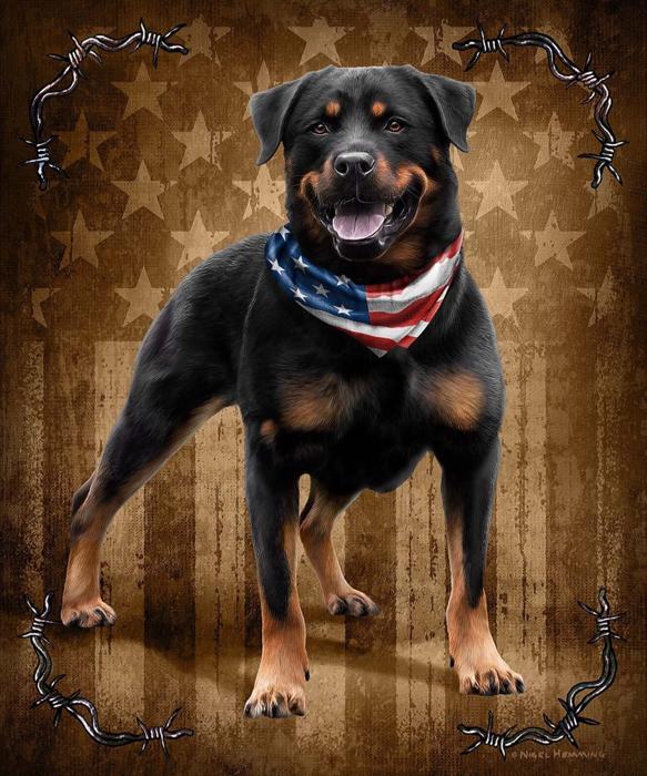 Dog Queen Size Plush Blanket ? Ultra Soft ? Patriotic to the Bone