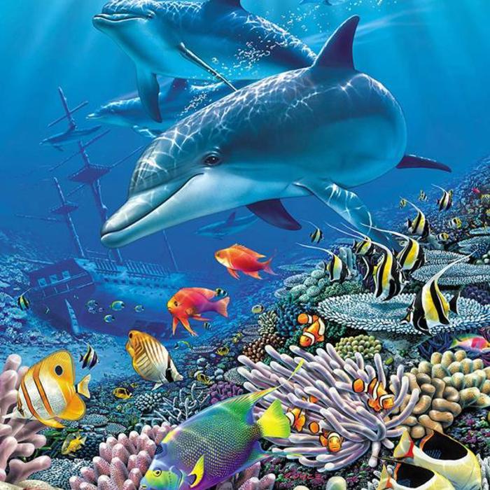 Ocean-Inspired Plush Blanket ? Queen Size Dolphin & Fish Shipwreck Throw