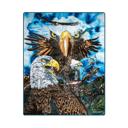 Queen Bald Eagle Queen Plush Blanket ? Super Soft ? Hidden 13 Eagles Pattern