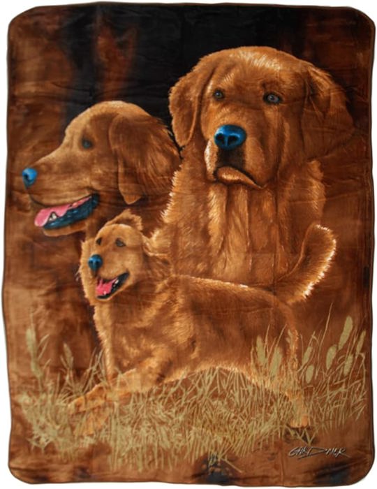 Signature Cute Clever Golden Retriever Golden Dog Printed Ultra-Soft Throw Blanket Home Decorative Blanket for Living Room Bed Sofa