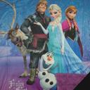 BLUE Frozen Plush Queen Blanket ? Cozy Comfort ? 6 Unique Styles