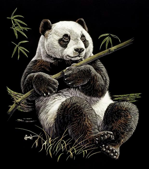 Panda Comfort Blanket ? Plush, Warm & Queen Size