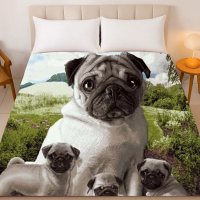 Pug Family Plush Blanket ? Queen Size, Super Soft & Cozy