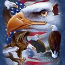 Queen USA flag Bald Eagle Luxury Plush Blanket