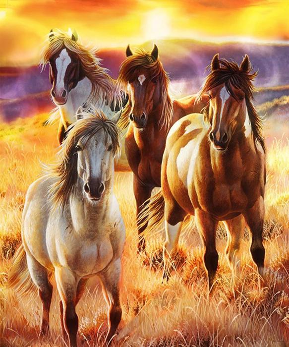Cozy Plush Queen Horse Blanket - Sunrise Beauties Exclusive