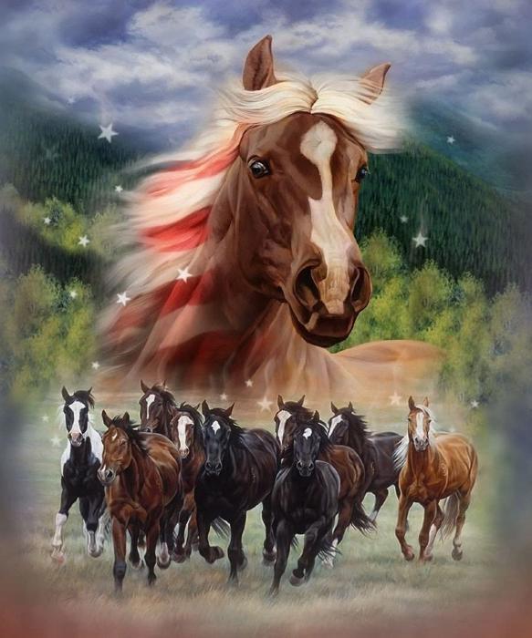 Patriotic Stomp Plush Queen Horse Blanket - Ultra Soft & Cozy