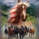 Queen Patriotic Stomp Plush Queen Horse Blanket - Ultra Soft & Cozy