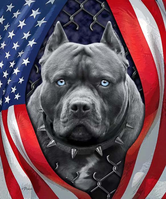Patriotic Pitbull Blanket ? Plush Queen Size ? Ultra Soft & Cozy Throw
