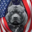 Queen Patriotic Pitbull Blanket ? Plush Queen Size ? Ultra Soft & Cozy Throw