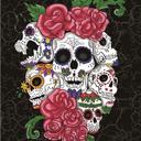 Queen Cozy Queen Size Sugar Skull Blanket ? Plush Six Skulls Design