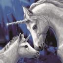 Queen Sacred Love Mythical Unicorn Plush Blanket