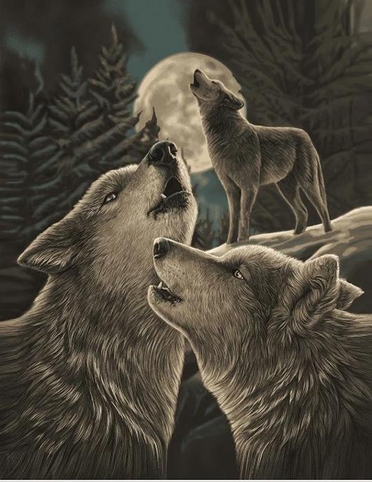 Cozy Queen Size Wolf Blanket - Plush & Extremely Soft, Wolf Song Edition