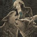Queen Cozy Queen Size Wolf Blanket - Plush & Extremely Soft, Wolf Song Edition