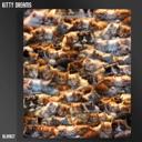 Queen Extremely Soft Cat Blanket ? Queen Size Plush, Kitty Dreams Edition