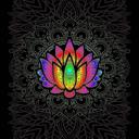 Queen Lotus Flower Plush Blanket - Queen Size Ultra Soft & Durable