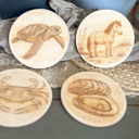  Outer Banks Wildlife Wood Coasters | Blue Crab, Oyster, Sea Turtle & Corolla Wild Horse | Engraved OBX Coaster Set