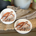 Loggerhead Sea Turtle Coastal Wildlife Ceramic Coasters | Blue Crab, Oyster, Loggerhead & Corolla Wild Pony 