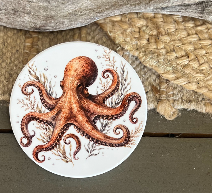 Coastal Wildlife Ceramic Coasters | Blue Crab, Oyster, Loggerhead & Corolla Wild Pony 