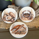  Coastal Wildlife Ceramic Coasters | Blue Crab, Oyster, Loggerhead & Corolla Wild Pony 