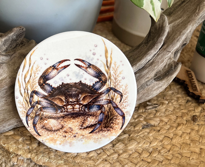 Coastal Wildlife Ceramic Coasters | Blue Crab, Oyster, Loggerhead & Corolla Wild Pony 