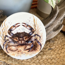 Blue Crab Coastal Wildlife Ceramic Coasters | Blue Crab, Oyster, Loggerhead & Corolla Wild Pony 
