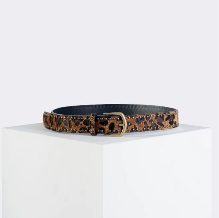 Artemis Studded Trim Belt