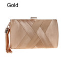 Gold Women's Evening Clutch Bag