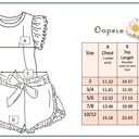  Girls Blue Checkered Lace Ruffle Short Set