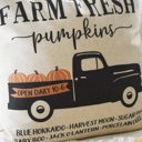  Sale- Fall Pillow Cover Pumpkin Patch Fall Decor Front Porch Pillow Fall Pillow Pumpkin Pillow Farm Fresh Punpkins