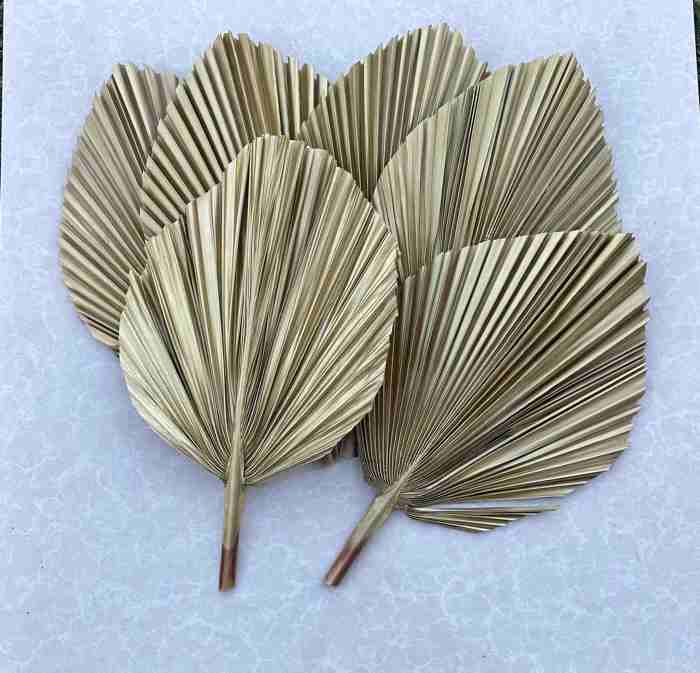 Gold Metallic Palm Frond Dried Glam Palm Leaf DIY Decoration Material Luxury Party Event Wedding Table Centerpieces Decor - 3PCs - 14”