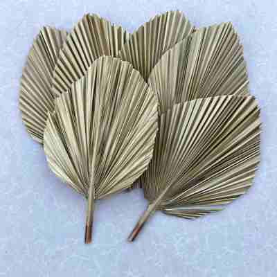 Gold Metallic Palm Frond Dried Glam Palm Leaf DIY Decoration Material Luxury Party Event Wedding Table Centerpieces Decor - 3PCs - 14”