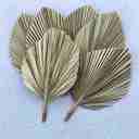  Gold Metallic Palm Frond Dried Glam Palm Leaf DIY Decoration Material Luxury Party Event Wedding Table Centerpieces Decor - 3PCs - 14”