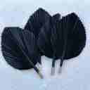  14” Decorative Palm Tree Leaf, Gothic Wedding Table Decor, Moody Home Decor Accents, Alt Black Vase Fillers, Diy Decoration Material