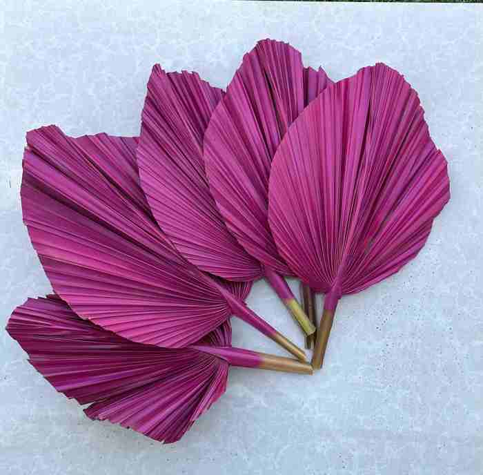 14” Hot Pink Fuchsia Palm Fronds, Dried Palm Tree Leaf, Bright Wedding Arrangement, Vase Filler, Bridal Party Table Decor, Bridesmaid Props