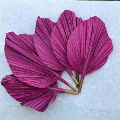 14” Hot Pink Fuchsia Palm Fronds, Dried Palm Tree Leaf, Bright Wedding Arrangement, Vase Filler, Bridal Party Table Decor, Bridesmaid Props