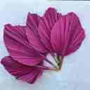  14” Hot Pink Fuchsia Palm Fronds, Dried Palm Tree Leaf, Bright Wedding Arrangement, Vase Filler, Bridal Party Table Decor, Bridesmaid Props