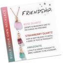 Friendship Natural Stone Interchangeable Charm Necklace Collection - Gift Pack 