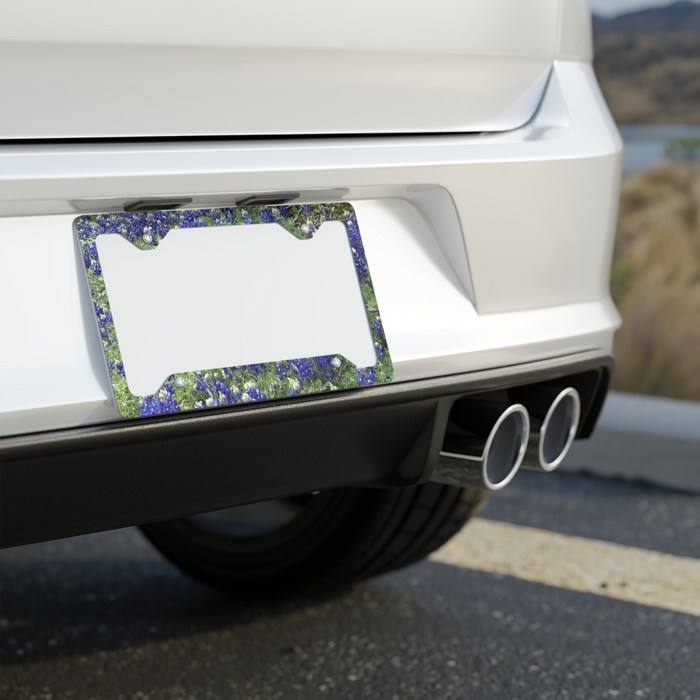 Bluebonnets License Plate Frame, Car License Plate Holder
