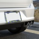  Bluebonnets License Plate Frame, Car License Plate Holder