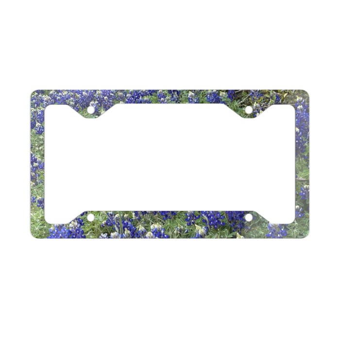 Bluebonnets License Plate Frame, Car License Plate Holder