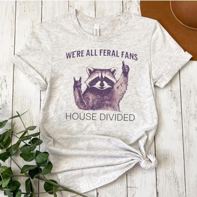 House Divided Funny Raccoon T-Shirt, Longhorns vs Aggies Funny College Rivalry Tee