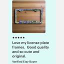  Bluebonnets License Plate Frame, Car License Plate Holder